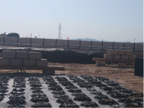 【一线投影】尊龙集团厦门马銮湾项目有序施工